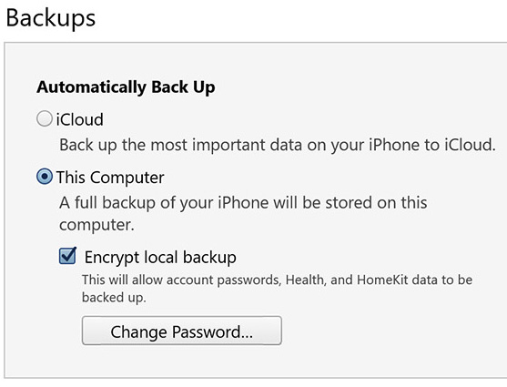encrypt local backup